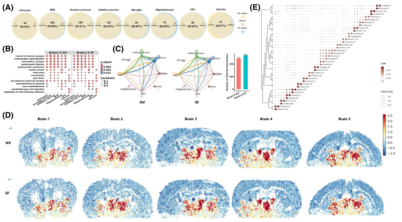 Interdisciplinary Medicine丨真迈SURFSeq 5000为单细胞空间转录组提供高质量测序方案